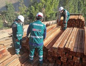 Serfor aprobó criterios de homologación para productos de madera
