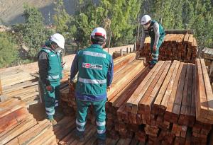 Serfor aprueba protocolo de control forestal maderable para transporte terrestre