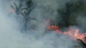 Serfor identificó 21 incendios forestales recientes en el país