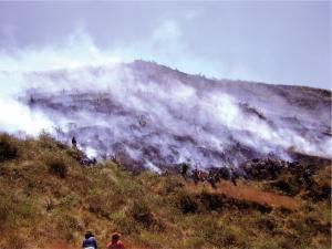 Serfor pide a la población no quemar residuos agrícolas y pastos para evitar incendios forestales