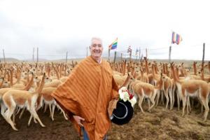Serfor propone hoja de ruta para mejorar el aprovechamiento sostenible de la vicuña a nivel nacional
