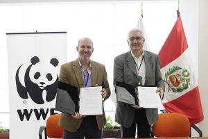 Serfor y WWF trabajarán en favor de la gestión sostenible del patrimonio forestal peruano