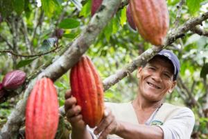 Sernanp expone experiencias exitosas de cacao producido en áreas libres de deforestación