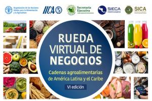 Sexta Rueda Virtual de Negocios de las Cadenas Agroalimentarias de América Latina y el Caribe registró intenciones comerciales por US$ 25 millones