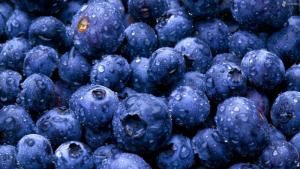 "Si hacemos todo bien, la producción mundial de arándanos podría alcanzar los 2.4 millones de toneladas en 2030"