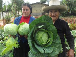 “Si las mujeres accedieran en iguales condiciones a insumos, producción de sus campos aumentaría entre 20% o 30%”