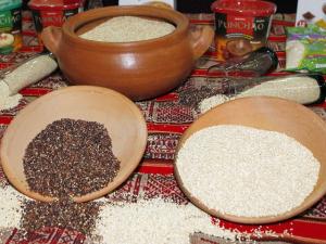 Sierra Exportadora propuso  priorizar investigación y exportación de quinua andina con valor agregado