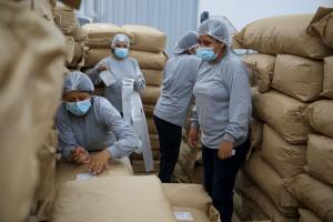 Simbiosis Perú exporta por primera vez seis toneladas de hongos comestibles a Francia