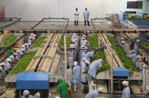 SIMPLIFICACIÓN DE TRÁMITES SANITARIOS REDUCIRÁ COSTOS E IMPULSARÁ EXPORTACIONES