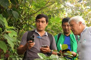 Solidaridad y Cámara de Café y Cacao lanzan cursos online en agricultura sostenible