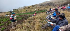 Solo el 10.2% de los productores agropecuarios peruanos recibieron asistencia técnica, asesoría empresarial o capacitación desde el sector público o privado