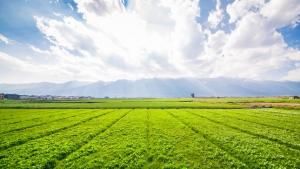 Superficie agrícola de Perú asciende a 11.649.716 hectáreas