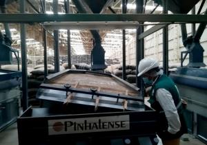 Supervisan a procesadores primarios para asegurar productos saludables