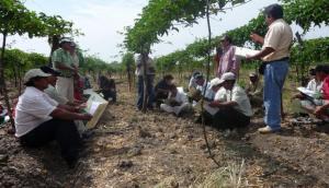 Técnicos del Gore Piura reciben capacitación legal en proceso de otorgamiento de terrenos eriazos para fines agrícolas