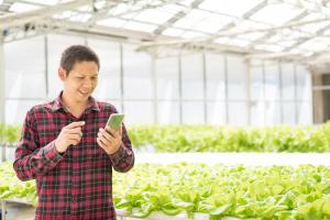 Tecnología blockchain: una oportunidad para aumentar el comercio agroalimentario de Perú