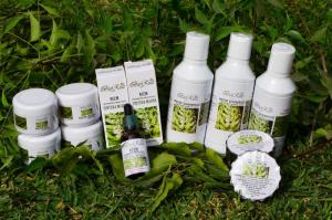 Tintura madre de árbol de neem tiene compuestos activos para la salud
