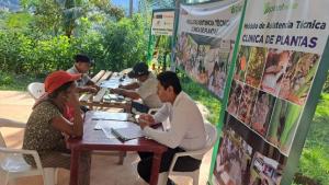 Transfieren tecnologías para proteger calidad de cultivo de cacao ante plagas en San Martín