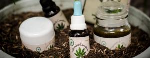 Tres empresas buscan obtener patentes para medicamentos a base de cannabis