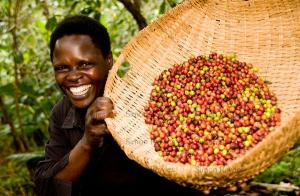 Uganda desplazaría a Perú como octavo productor mundial de café en la campaña 2020/2021