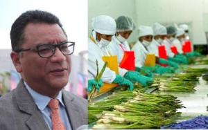 “Un trabajador formal en la agricultura gana 120% más que uno informal”