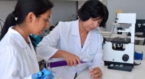 Universidad San Marcos tendrá el único laboratorio de clonación de alpaca en el mundo