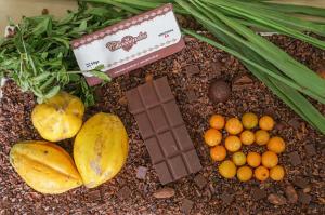 UNTRM produce chocolates especiales en base a la caracterización de 150 ecotipos promisorios de cacao fino aroma 