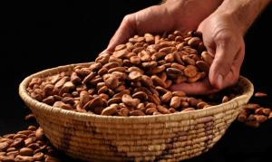 Validan visión para el cacao y chocolate peruano al 2030