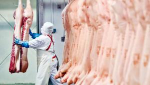 Ventas y el abastecimiento de carne de cerdo registra una caída del 50% durante la emergencia