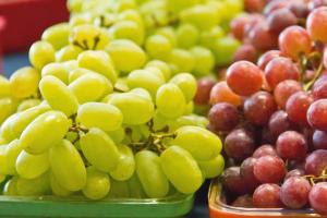 Verfrut apuesta por nuevas variedades de uvas y suma limas en Perú