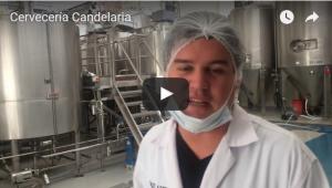 VIDEO: El recorrido de la cebada por la planta de Candelaria hasta convertirse en una cristalina cerveza