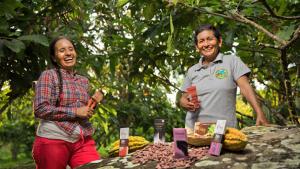 Vraem: Más de 3.600 familias incrementaron en 140% su productividad con el cacao