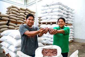 Vraem: Nomatsigengas venden 16 toneladas de cacao orgánico por S/ 180.250
