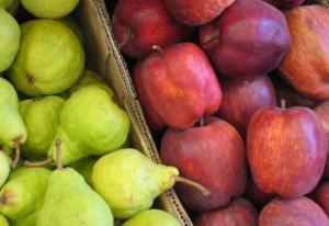 WAPA: Producción de manzana del hemisferio sur alcanzaría las 4.864.000 toneladas, mostrando una contracción de 7%