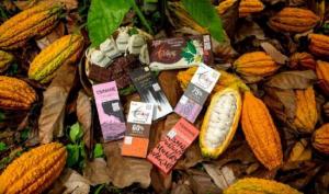 XV Salón del Cacao y Chocolate de Perú espera generar negocios por US$ 25 millones