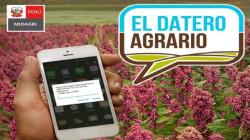 Agricultores pueden consultar gratis precios, agua y clima desde su celular
