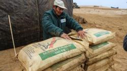 Agro Rural comercializó 1.080 toneladas de guano de isla en Junín este año