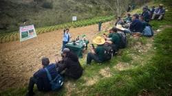 Agro Rural financia pasantía de 29 organizaciones productoras de papa y maíz