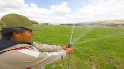 Agro Rural impulsa estudios de inversión por S/ 255 millones para irrigación en 5 regiones