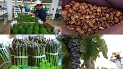 Agroexportaciones peruanas cayeron en valor -2% en abril de 2022
