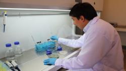 Agroindustrial Beta pone en marcha nuevo laboratorio para producción de microorganismos nativos que benefician a sus cultivos