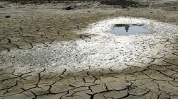 Alerta: prolongada escasez de humedad afecta desarrollo de campaña agrícola 2025-2026