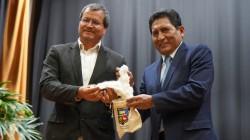 Algodón mejorado de La Molina apunta a renovar la producción textil peruana