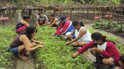 Anemia en el Perú: la necesidad de articular acciones con la agricultura