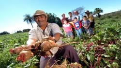 Anpe Perú: Producción nacional de alimentos orgánicos cae entre 25% y 30%