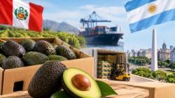 Argentina, la oportunidad que el agro peruano tiene a mano