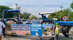 Arroceros del norte, sur y oriente del Perú realizarán paro este 25 de mayo