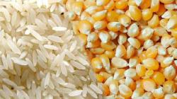 Arroz, papa, maíz y limón son productos básicos en la canasta familiar que podrían sufrir incrementos de precio en las próximas semanas