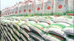 Balanza comercial de fertilizantes es negativa para Perú en el primer trimestre de 2024