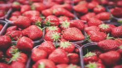 Bayer amplía su negocio de frutas y hortalizas a las fresas