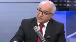 Café: crece por expansión del área sembrada y no por aumento de productividad